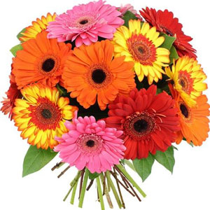 livraison fleurs italie livraison fleurs italie