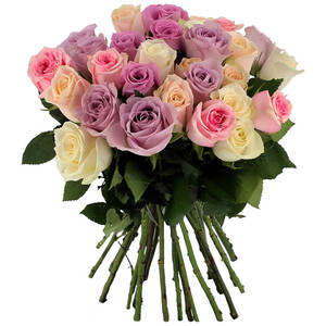 30 ROSES PASTEL 30 ROSES PASTEL