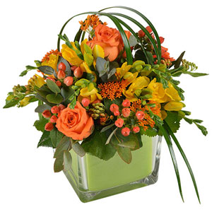 Composition Bellissima Livraison Express Florajet