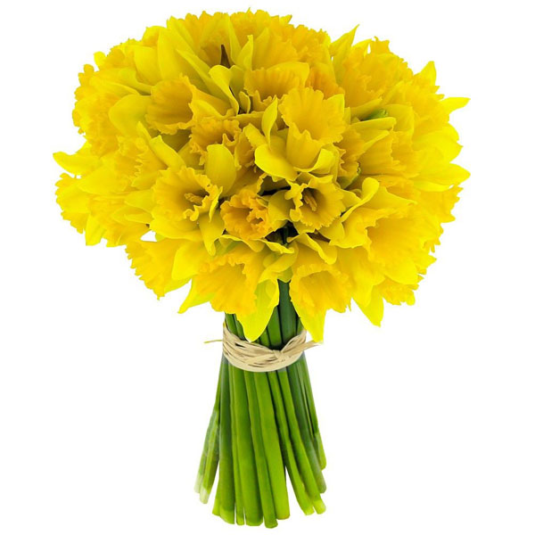 Bouquet Rond 30 Jonquilles Livraison En France Florajet
