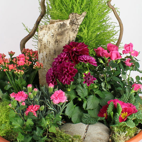 Plantes Deuil COMPOSITION ETERNITE