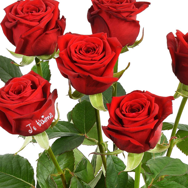 Je T Aime Rosie Roses marquées "11 + 1 ROSE MARQUEE JE T'AIME 50CM" - Livraison Express