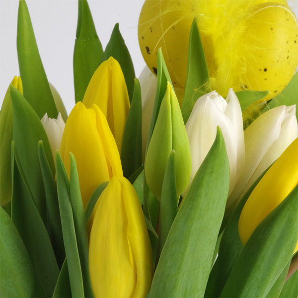 Bouquet rond 20 TULIPES JAUNES ET BLANCHES + PIC PAQUES