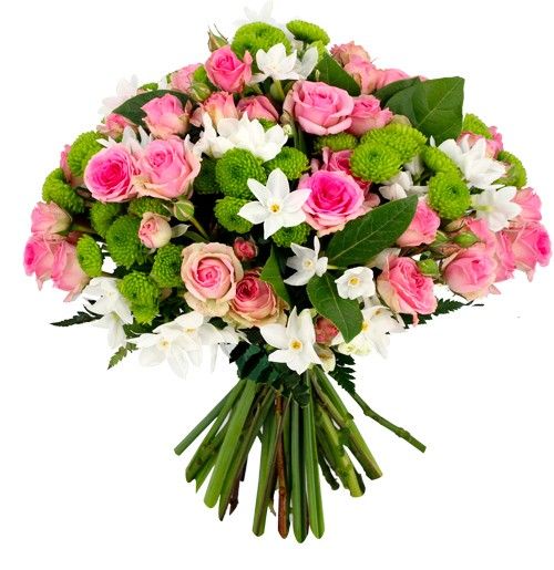 NATURE ROSE NATURE ROSE