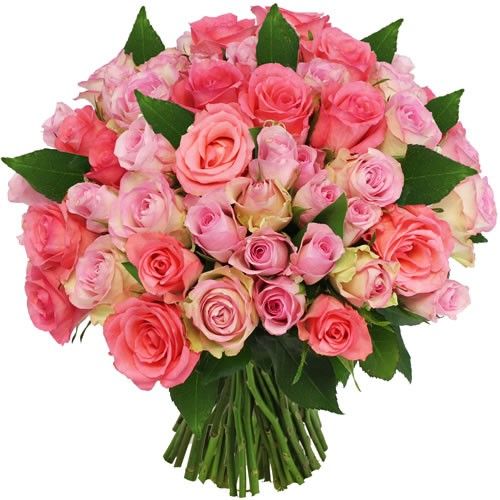Bouquet de roses "50 ROSES ROSES" Livraison Express Florajet