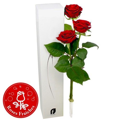 Trio de Roses Rouges 3 Roses Livrées en Express Florajet